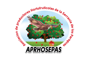 logo31